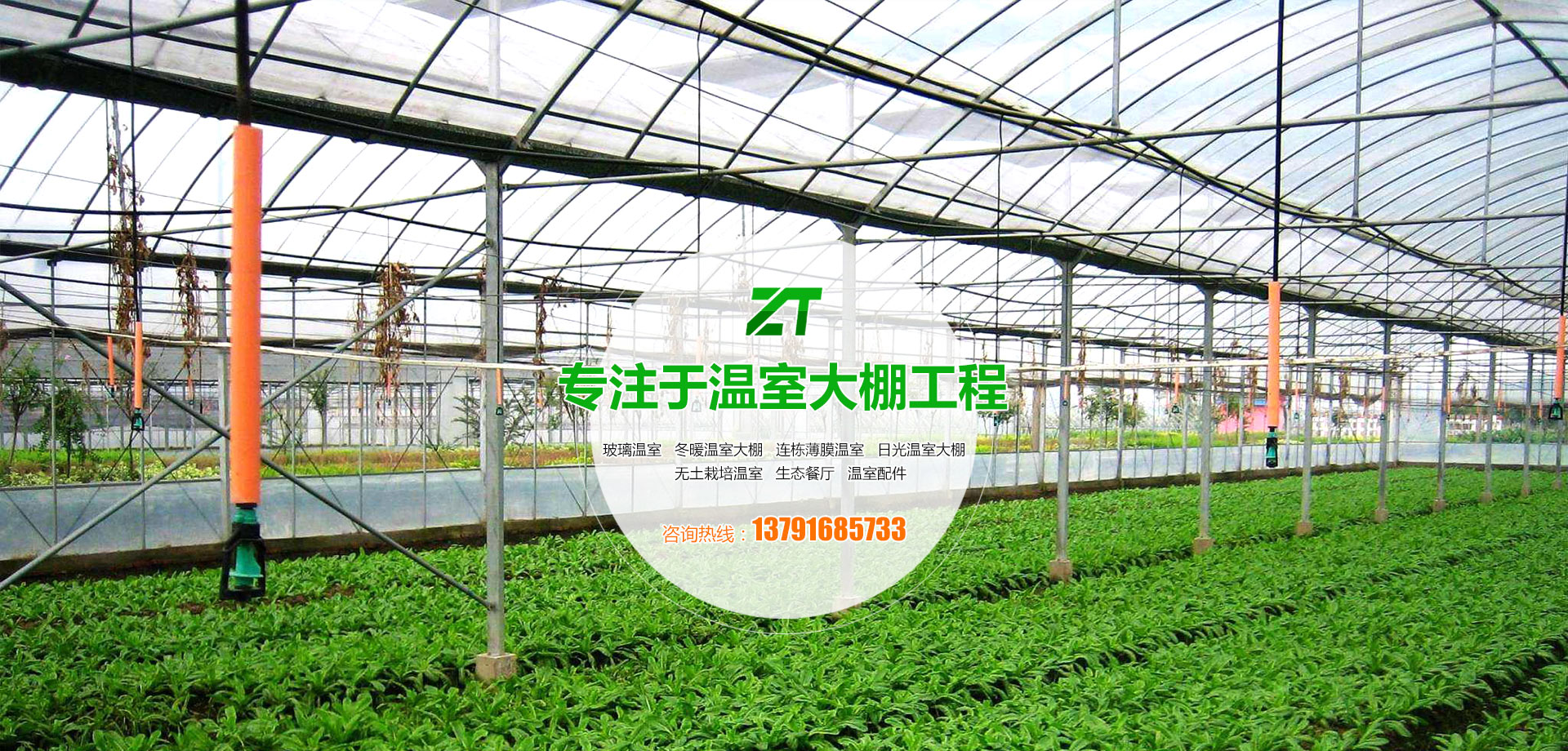 松木舞臺實木地板報價