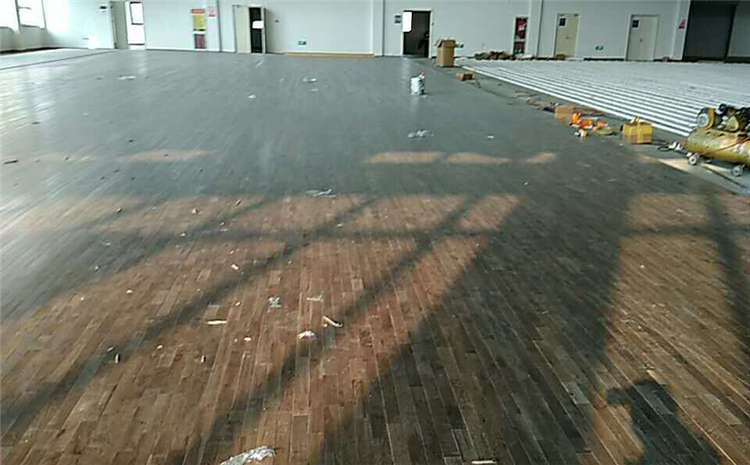 楓樺木實木運動地板規格