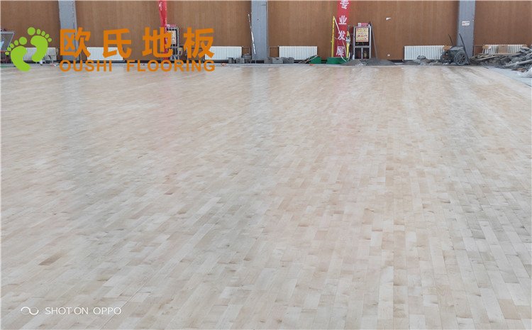 西寧市世紀職業技術學?；@球訓練館木地板圖片