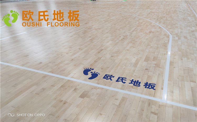 西寧市世紀職業技術學?；@球訓練館木地板圖片